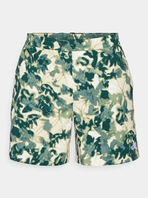 Szorty trekkingowe The North Face