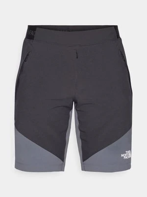 Szorty trekkingowe The North Face