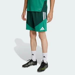 Szorty treningowe Algeria 26 Adidas