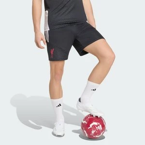 Szorty treningowe Liverpool FC 26/27 Tiro Adidas