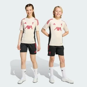 Szorty treningowe Liverpool FC Tiro 25 Competition Kids Adidas