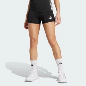 Szorty Volleyball Adidas