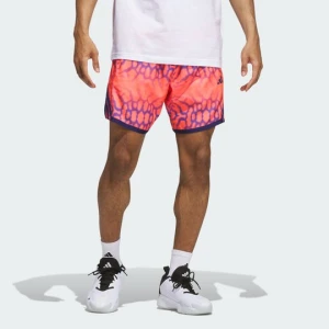 SZORTY Z GRAFIKĄ CRAZYLITE Adidas Solar Turbo
