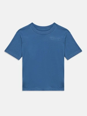 T-shirt basic Abercrombie & Fitch niebieski