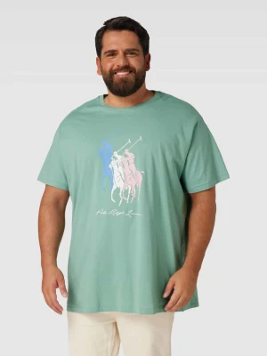 T-shirt PLUS SIZE z nadrukiem z motywem z logo Polo Ralph Lauren Big & Tall