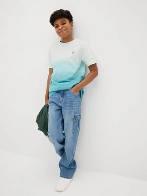 T-shirt w cieniowanym kolorze, z czystej bawełny organicznej bonprix