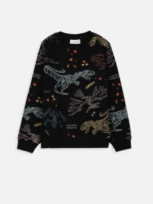 T-shirt z długim rękawem COCCODRILLO
