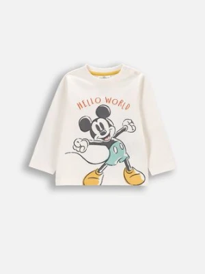 T-shirt z długim rękawem COCCODRILLO