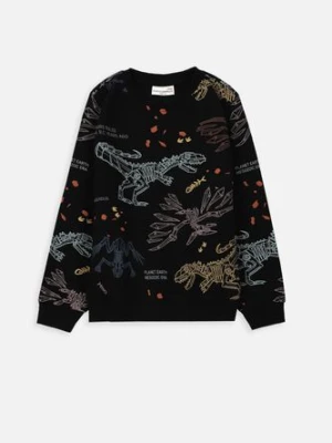 T-shirt z długim rękawem COCCODRILLO