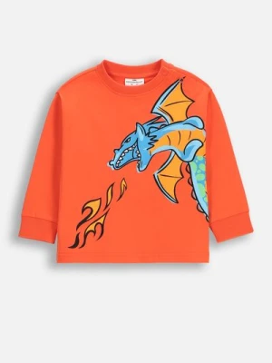 T-shirt z długim rękawem COCCODRILLO