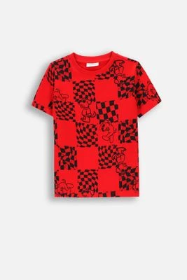 T-shirt z krótkim rękawem COCCODRILLO