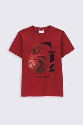 T-shirt z krótkim rękawem COCCODRILLO