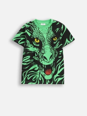 T-shirt z krótkim rękawem COCCODRILLO
