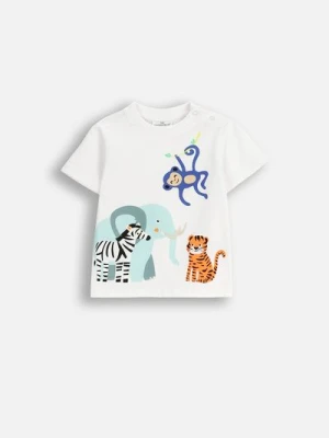 T-shirt z krótkim rękawem COCCODRILLO