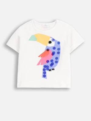 T-shirt z krótkim rękawem COCCODRILLO