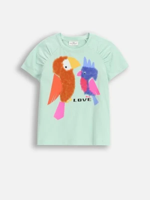 T-shirt z krótkim rękawem COCCODRILLO