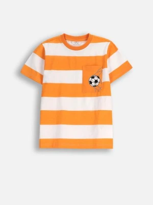 T-shirt z krótkim rękawem COCCODRILLO