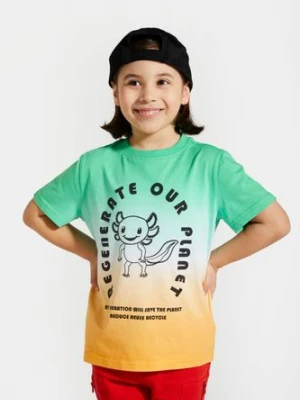T-shirt z krótkim rękawem COCCODRILLO