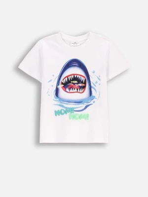 T-shirt z krótkim rękawem COCCODRILLO