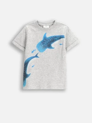 T-shirt z krótkim rękawem COCCODRILLO