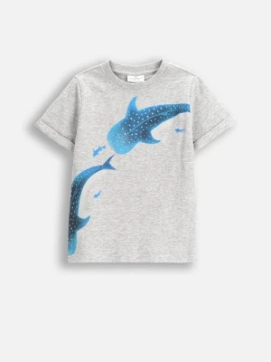 T-shirt z krótkim rękawem COCCODRILLO
