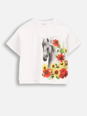 T-shirt z krótkim rękawem COCCODRILLO