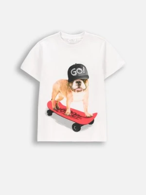 T-shirt z krótkim rękawem COCCODRILLO