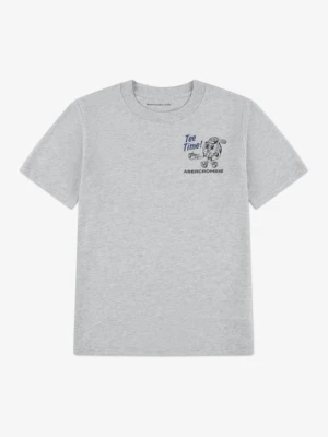 T-shirt z nadrukiem Abercrombie & Fitch jasnoszary