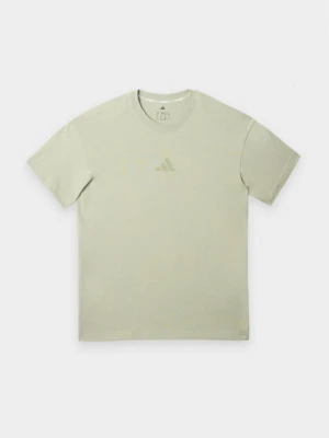 T-shirt z nadrukiem Adidas Terrex jasnozielony