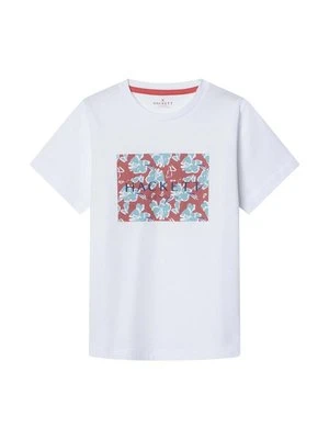T-shirt z nadrukiem Hackett London