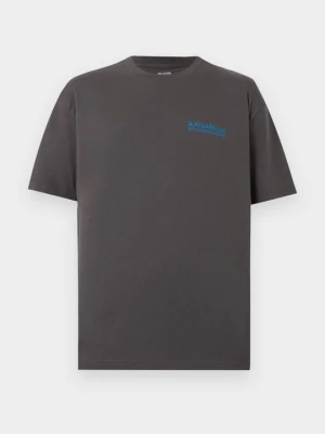 T-shirt z nadrukiem Hollister Co. szary