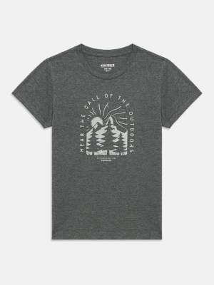 T-shirt z nadrukiem icepeak szary