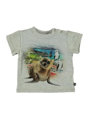 T-shirt z nadrukiem Molo