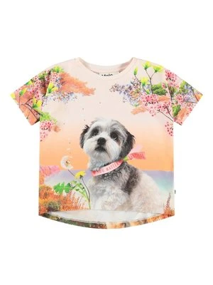 T-shirt z nadrukiem Molo