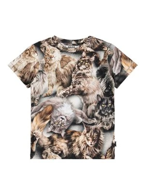 T-shirt z nadrukiem Molo