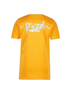 T-shirt z nadrukiem RAIZZED