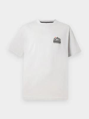 T-shirt z nadrukiem Rip Curl szary