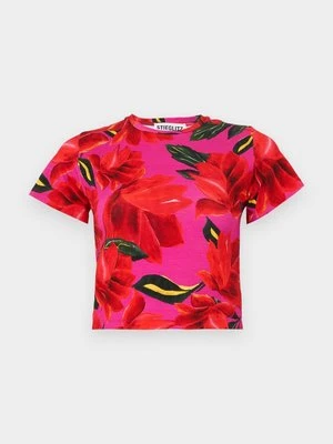 T-shirt z nadrukiem Stieglitz