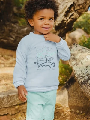 Tartine et Chocolat bluza bawełniana dziecięca