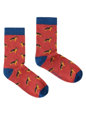 TATUUM Skarpety w kolorze czerwono-granatowym rozmiar: 43-46