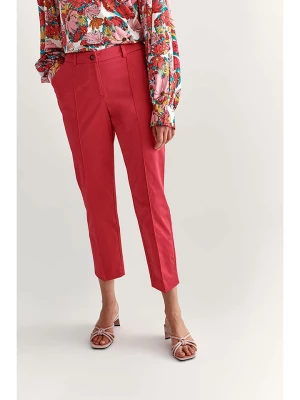 TATUUM Spodnie w kolorze różowym rozmiar: 34
