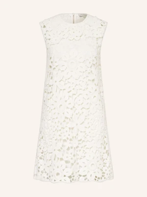 Ted Baker Sukienka Z Koronki Miikka weiss