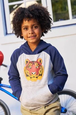 Terry Tiger dziecięcy bluza z kapturem z nadrukiem - Grey Mountain Warehouse