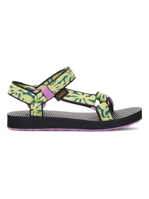 Teva Sandały trekkingowe w kolorze limonkowym rozmiar: 33/34