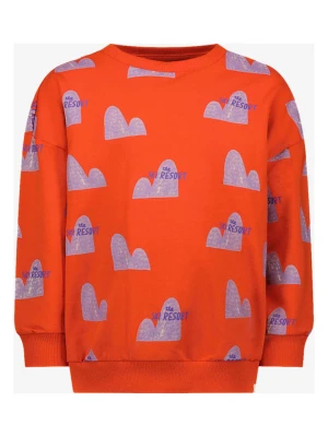 The New Chapter Bluza w kolorze czerwonym rozmiar: 128