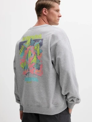 The North Face bluza Expedition Celebration męska kolor szary z nadrukiem NF0A8E3GDYX1