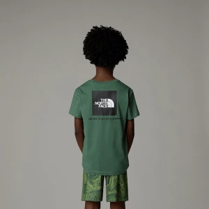 The North Face Chłopięcy T-shirt Redbox Duck Green Rozmiar XXL male