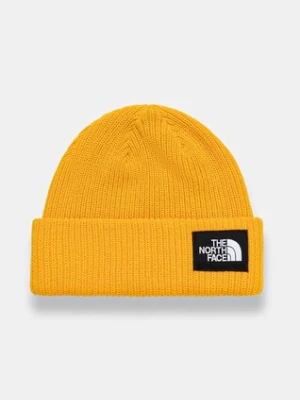 The North Face czapka Salty Lined