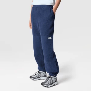 The North Face Damskie Spodnie Z Materiału Ripstop Denali Summit Navy Rozmiar S female