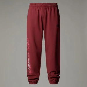 The North Face Luźne Joggery Unisex Nse Sumac Rozmiar  male